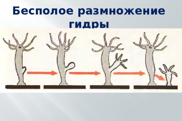Магазины с наркотиками