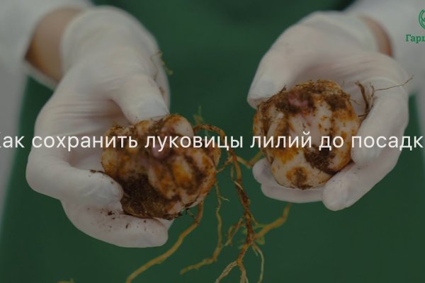 Что такое kraken в россии