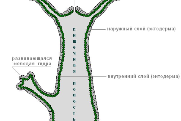 Kraken купить 3dark link com