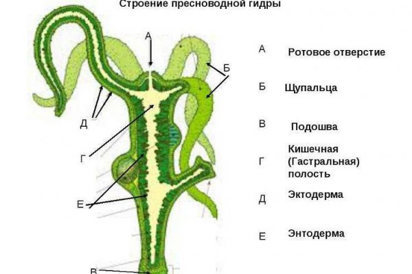 Кракен наркомагазин